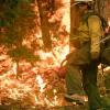 放火避免火灾：斯坦福大学找到方法使更多规定的烧伤