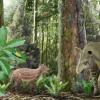 大约4700万年前，马大约是一只拉布拉多犬的大小