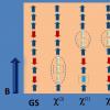 经验证的长期量子物理预测：贝特弦的实验观察