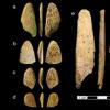 古代骨质工具的分析表明，穴居人非常复杂