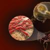 科学家探索遗传学，肠道微生物组和记忆之间的分子联系