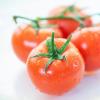 成熟的西红柿应该进入冰箱吗？科学检测旨在解决辩论
