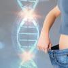 科学家们发现了与稀薄有关的基因-对于那些可以吃任何东西而又不增加体重的人来说是独一无二的