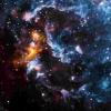 气体宇宙云中的舞星和黑洞：研究“公共信封阶段”