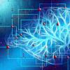 深入大脑：神经科学家发现大脑多任务网络的缺失部分