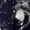盯着风暴：美国宇航局艾滋病艾滋病危险反应飓风劳拉[令人难以置信的高清图像]
