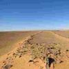在沙特阿拉伯发现的巨大石碑是在7,000年以前建造的