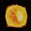 首款超高温海王星– LTT 9779b –是大自然不可能的行星之一