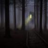与恐惧一起玩的神秘面纱：心理学研究人员调查闹鬼的房屋