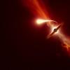 通过意大利化死亡：望远镜记录被黑洞吞噬的恒星的最后时刻