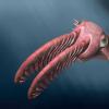 古代“辐射牙齿”深海生物的令人难以置信的愿景推动了进化的军备竞赛