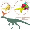 开创性的重建揭示了早期恐龙的大脑，饮食习惯和敏捷性的令人惊讶的见解