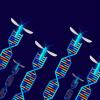 基因工程生物：用于基因驱动生物的现场试验的路径