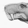 史前恐龙与哺乳动物牙齿之间的惊人联系
