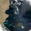 卫星窥探：在阿根廷海的Phytoplankton工厂