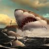 开创性的研究揭示了牙齿如何在巨型巨型鲨鱼中发挥作用和演变