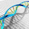 具有里程碑意义的研究：测序64个完整人类基因组以更好地捕获遗传多样性
