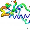 重构的进化：新蛋白“一无所有”