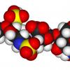 在短短几分钟内对关键分子进行测序