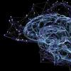 网格代码：关于记忆如何在大脑中存储的革命性新理论