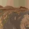 NASA的好奇号火星漫游车以“ Mont Mercou”拍摄令人惊叹的自拍照