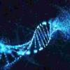 新研究表明量子物理学会导致我们DNA的突变