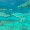 伟大的障碍礁是患有最普遍的漂白漂亮的漂白