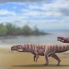 化石足迹显示一些鳄鱼祖先走在两条腿上