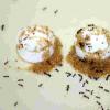消防蚂蚁在没有溺水的情况下在沙滩上建造少量氧管