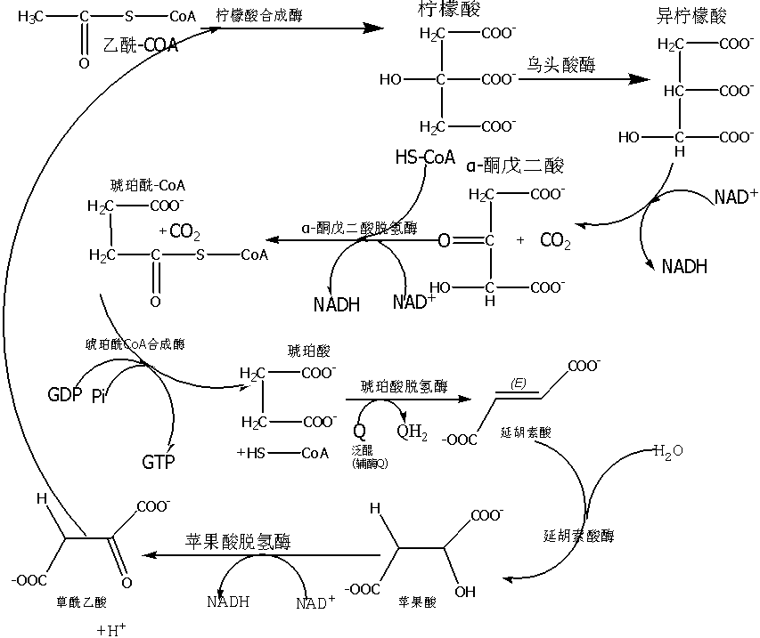 脂肪信号消失_肌肉消失会带走脂肪_文华财经 程序测试 信号消失成本