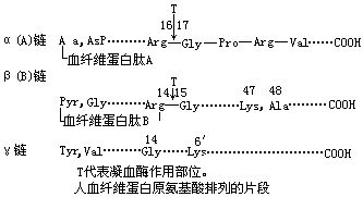 血浆变血清_血浆 血清_血清是血浆吗