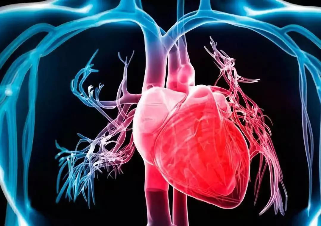 
美国心脏病2019年更新的早期诊断和治疗造成人类死亡
