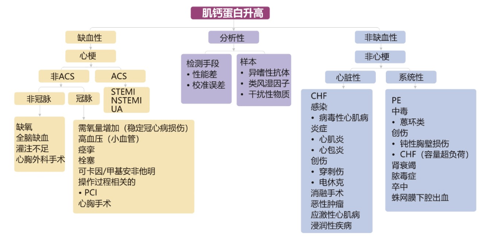 蛋白质水平_蛋白水平_质胜文则野文胜质则史