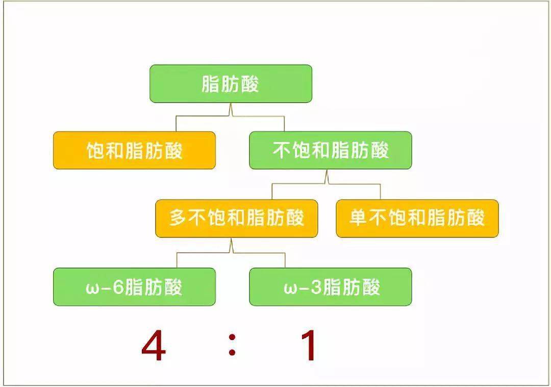 单不饱和脂肪酸_饱和聚酸树脂温度_单硬脂酸甘油脂肪酸酯