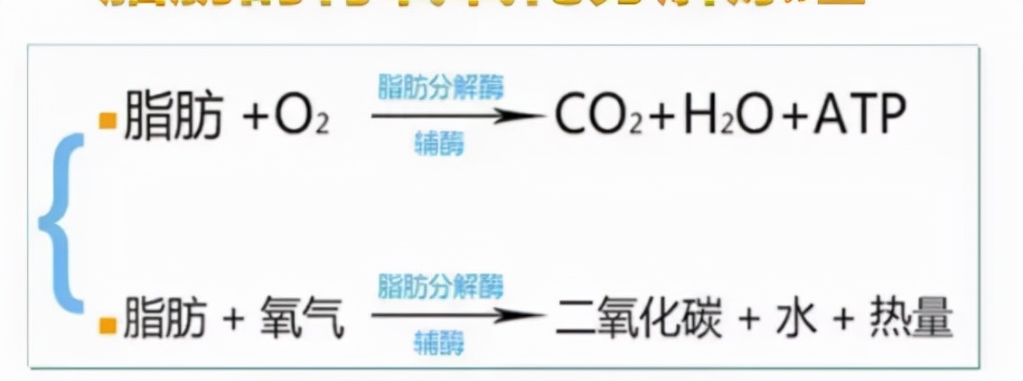 单硬脂酸甘油脂肪酸酯_单不饱和脂肪酸_饱和聚酸树脂温度