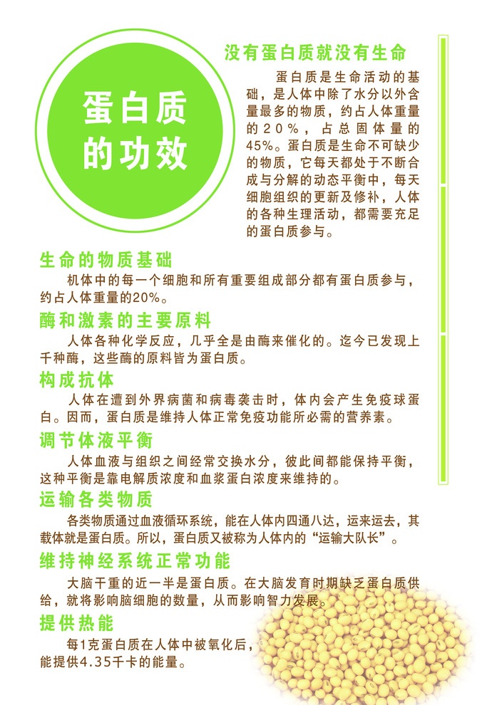 通道蛋白是载体蛋白吗_蛋白质的互补最常用的是_转运蛋白是载体蛋白吗