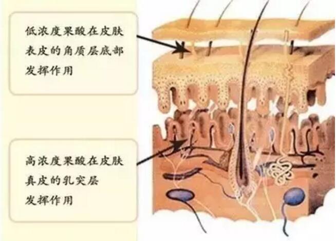 二醇丙酮_医用甘油和食用甘油_丁二醇甘油