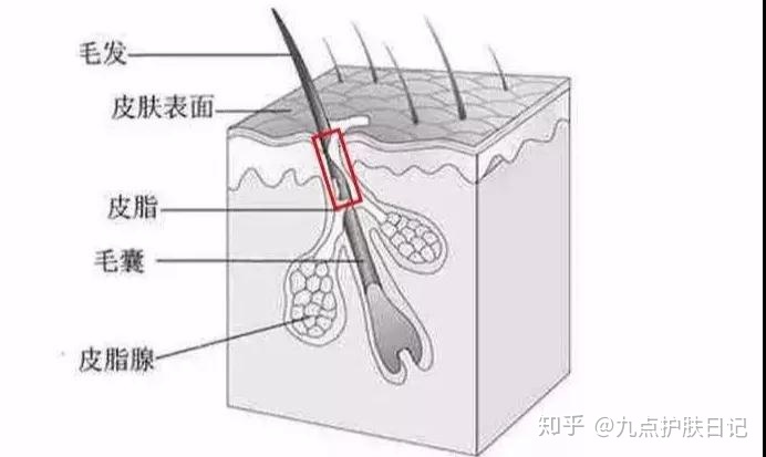 毛周角化病怎么办？皮肤病防治院皮肤科傅仰参