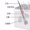 毛周角化病怎么办？皮肤病防治院皮肤科傅仰参