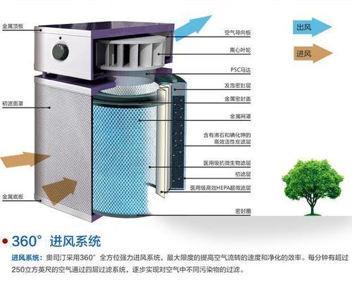 空气净化器 甲醛_13种常用室内观赏植物对甲醛净化效果pdf_净化室内苯和甲醛的花卉类型