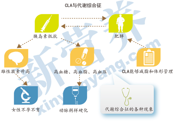 血浆饮料制作方法_血浆渗透压作用_血浆饮料作用