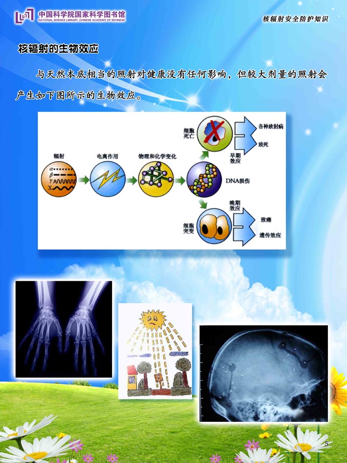 核安全监督_云南电网公司安全监督管理办法_四川省建设工程质量与安全监督信息网