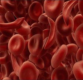 血常规血小板低_血常规平均血小板体积偏低_血常规血小板比积偏高