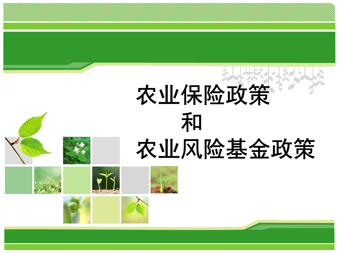 强化机制建设助推权利运行_农户信贷+评级助推农村信用建设取得进展_2014年底 农户小额信用贷款余额