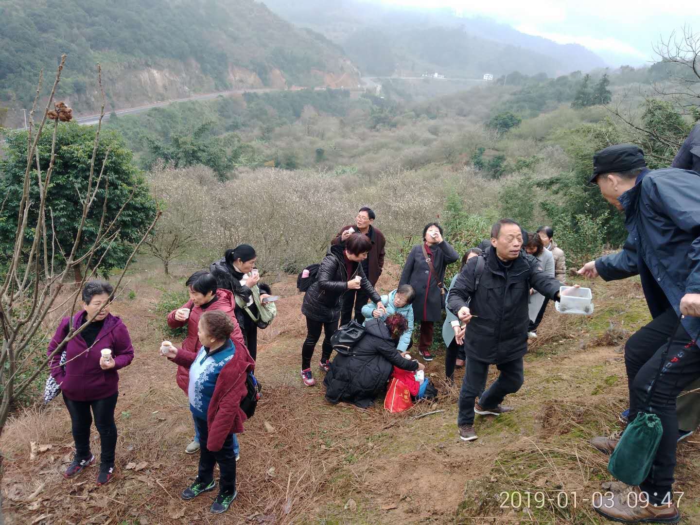 五大发电集团火电发电总量_发电机是转子发电还是定子发电_土豆发电