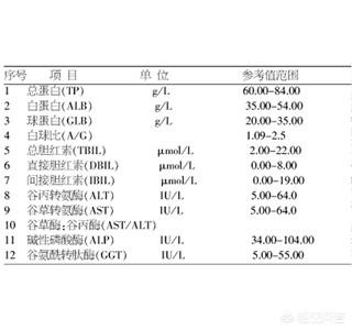 血浆球蛋白