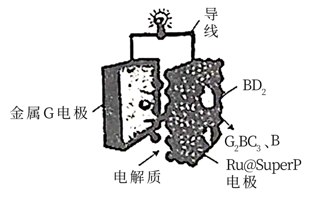 美国菲康