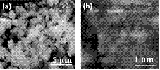 锐钛矿纳米二氧化钛粉体制备方法研究生招生简章(图)