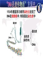 最大的衰老基因研究：减缓衰老过程的一种新方式