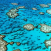 监测珊瑚礁的声景有助于追踪世界各地的健康状况